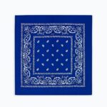 Imagine produs anterior